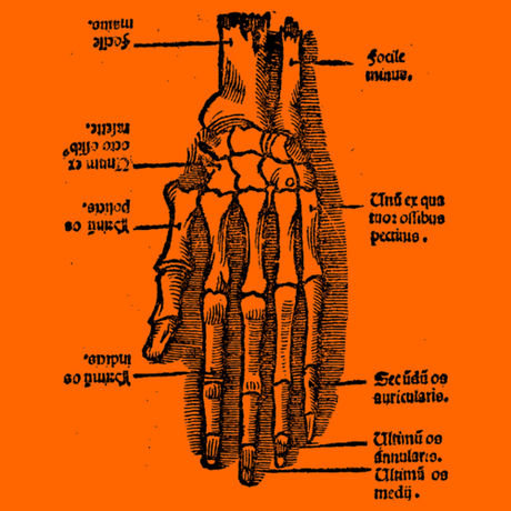 Medical