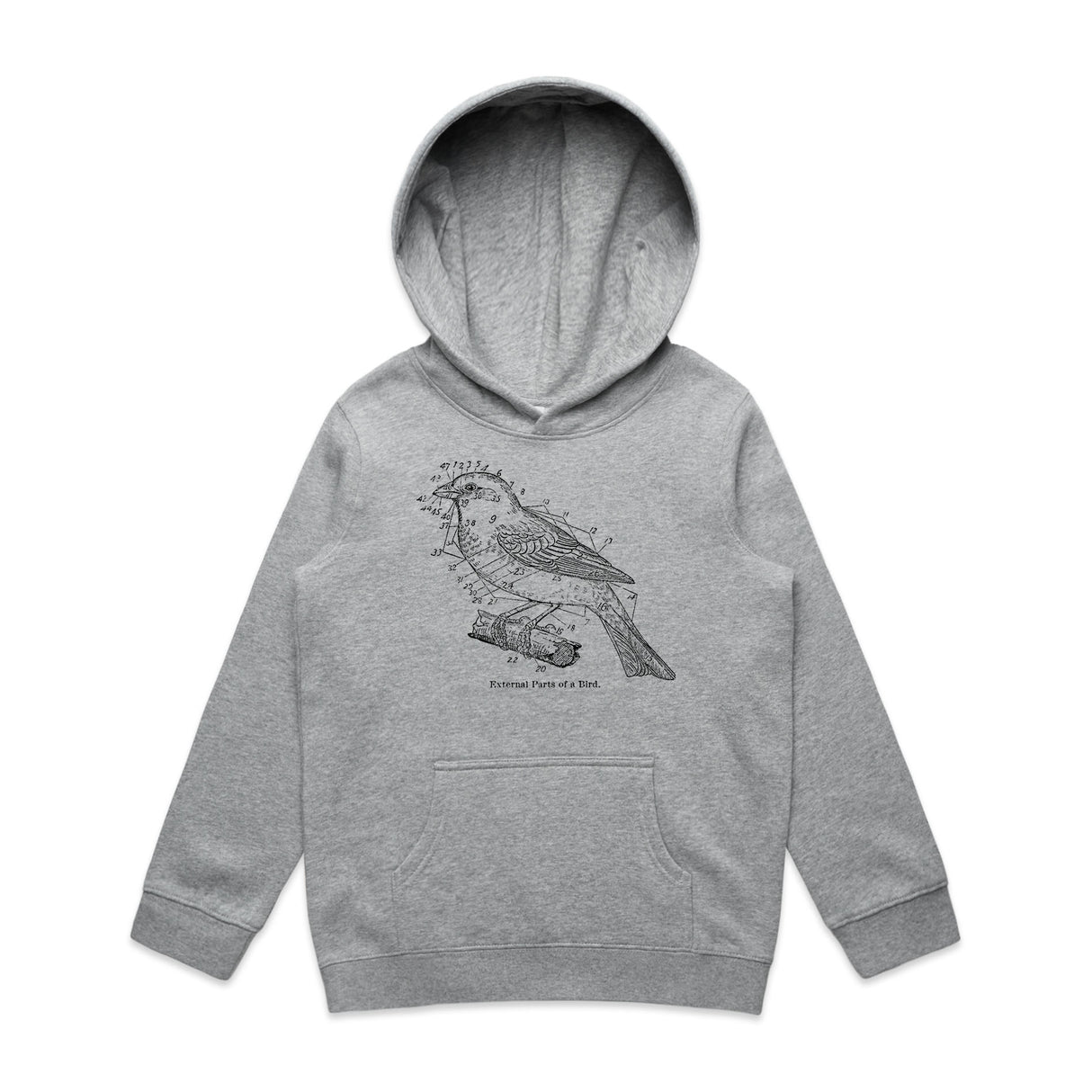 Grey Marle