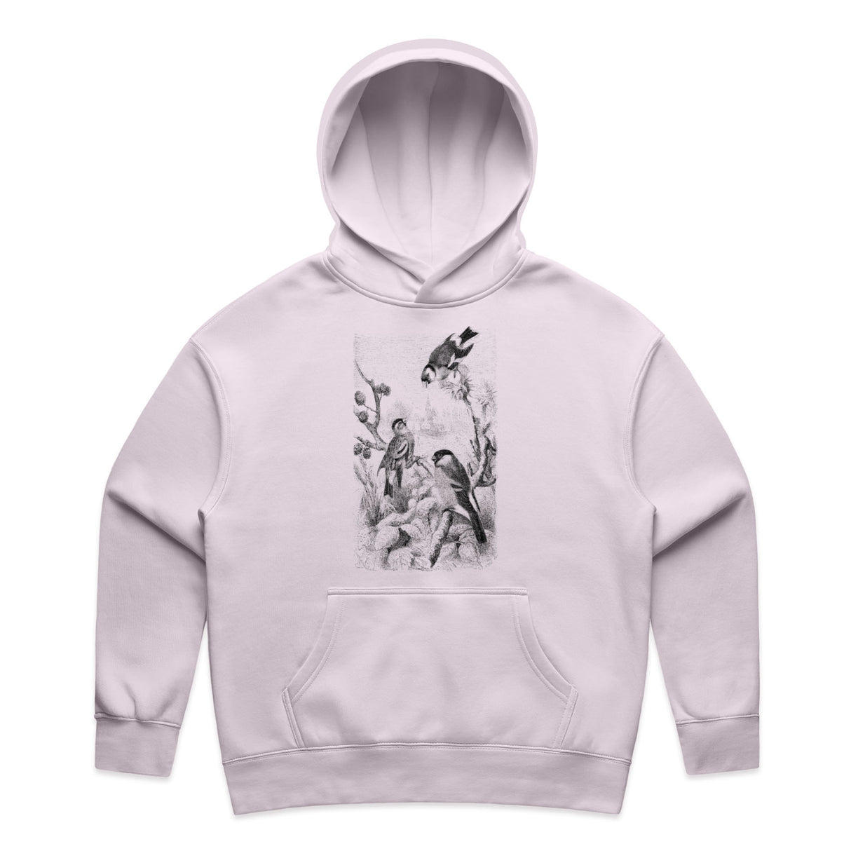 Orchid