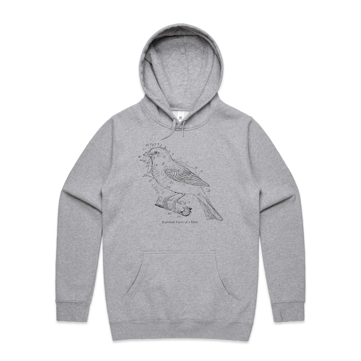 Grey Marle
