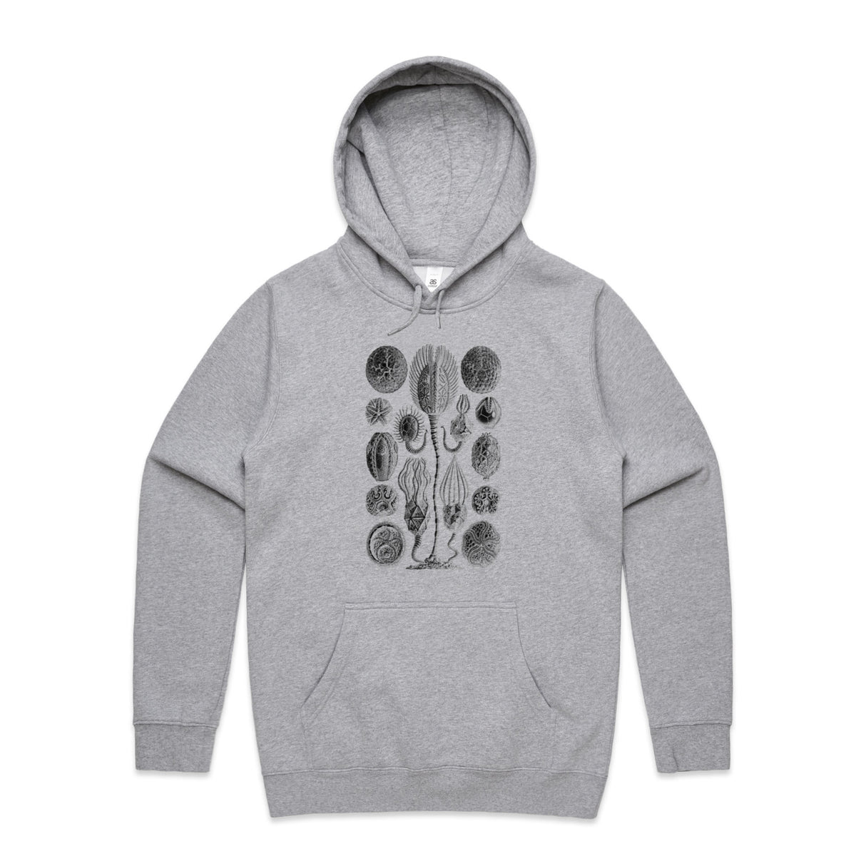 Grey Marle