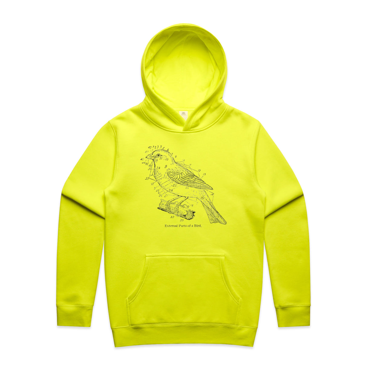 Safety Yellow
