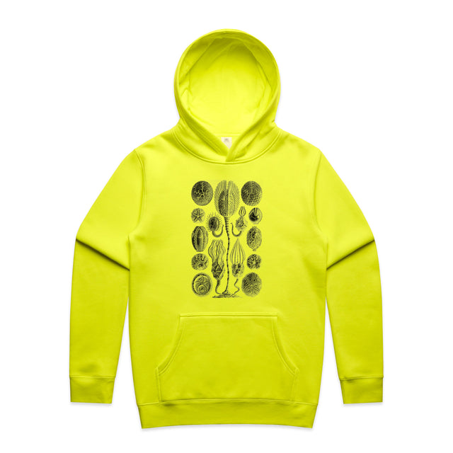 Safety Yellow