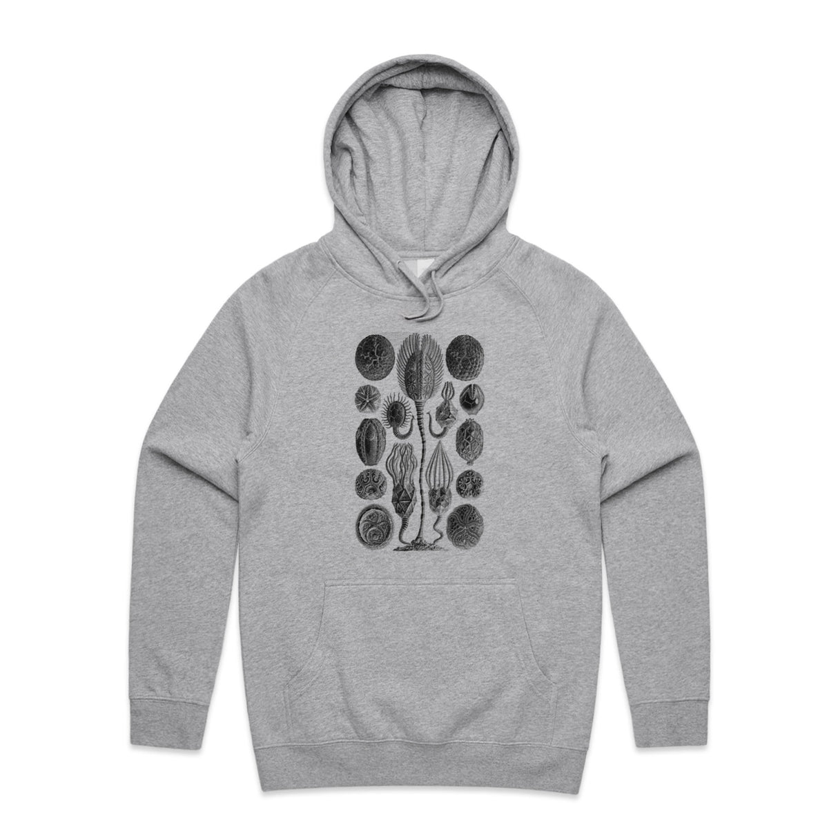 Grey Marle